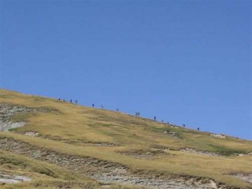 trekking con i muli-245.jpg